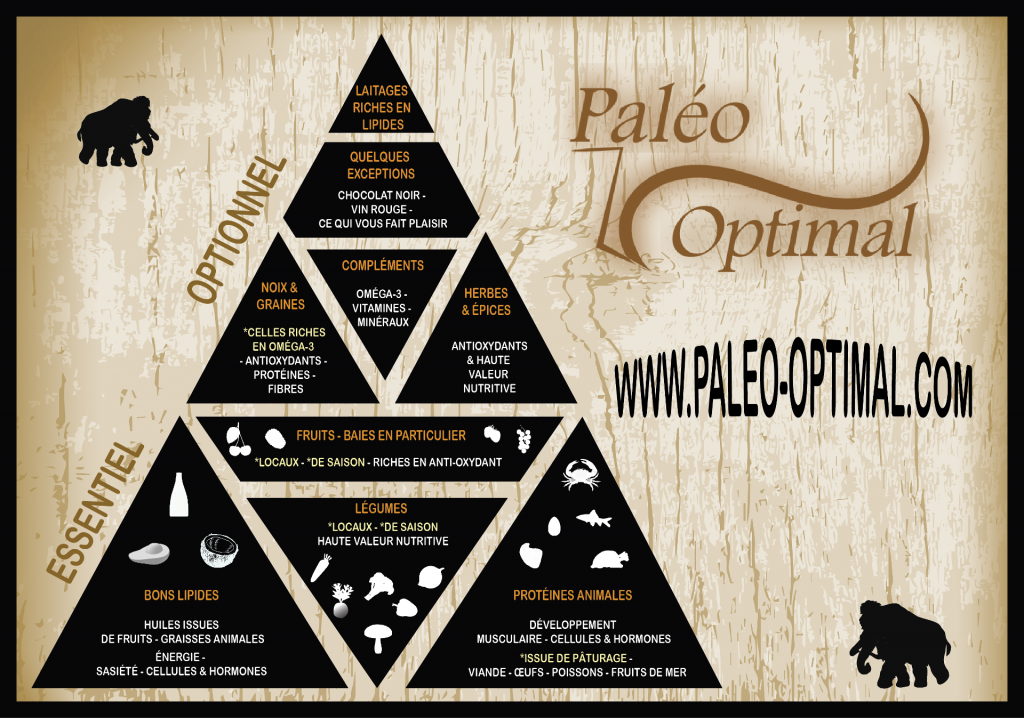 Pyramide alimentaire paléo